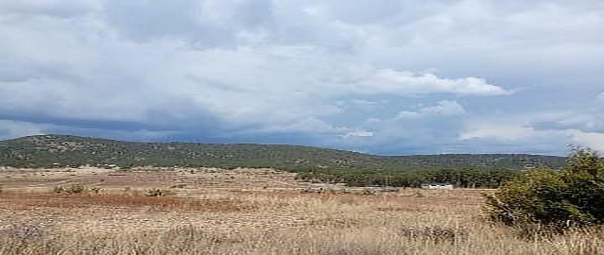 Foto de terreno habitacional en venta en  , huachichil (el huache), arteaga, coahuila de zaragoza, 0 No. 05