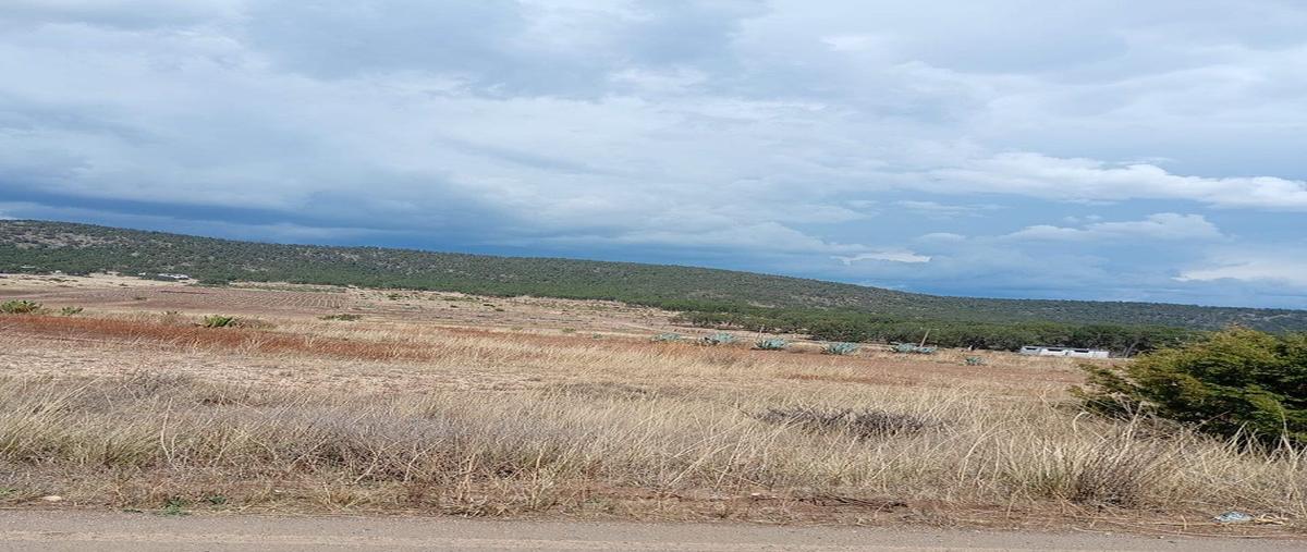 Foto de terreno habitacional en venta en  , huachichil (el huache), arteaga, coahuila de zaragoza, 0 No. 06