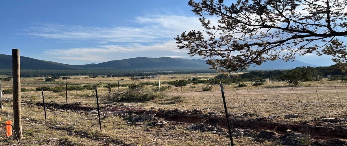 Foto de terreno habitacional en venta en huachichil , huachichil (el huache), arteaga, coahuila de zaragoza, 26742650 No. 04