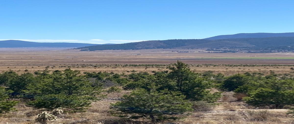 Foto de terreno habitacional en venta en huachichil , huachichil (el huache), arteaga, coahuila de zaragoza, 29066078 No. 03