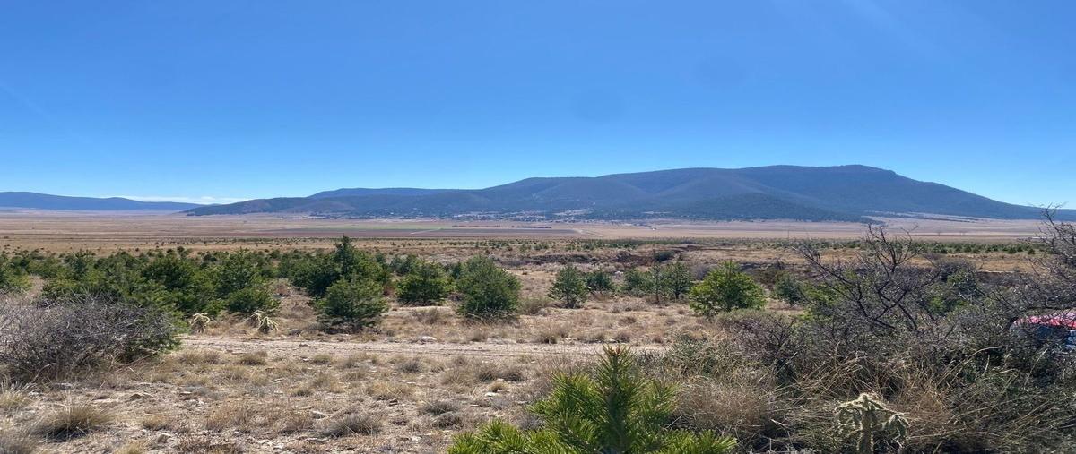 Foto de terreno habitacional en venta en huachichil , huachichil (el huache), arteaga, coahuila de zaragoza, 29066078 No. 04