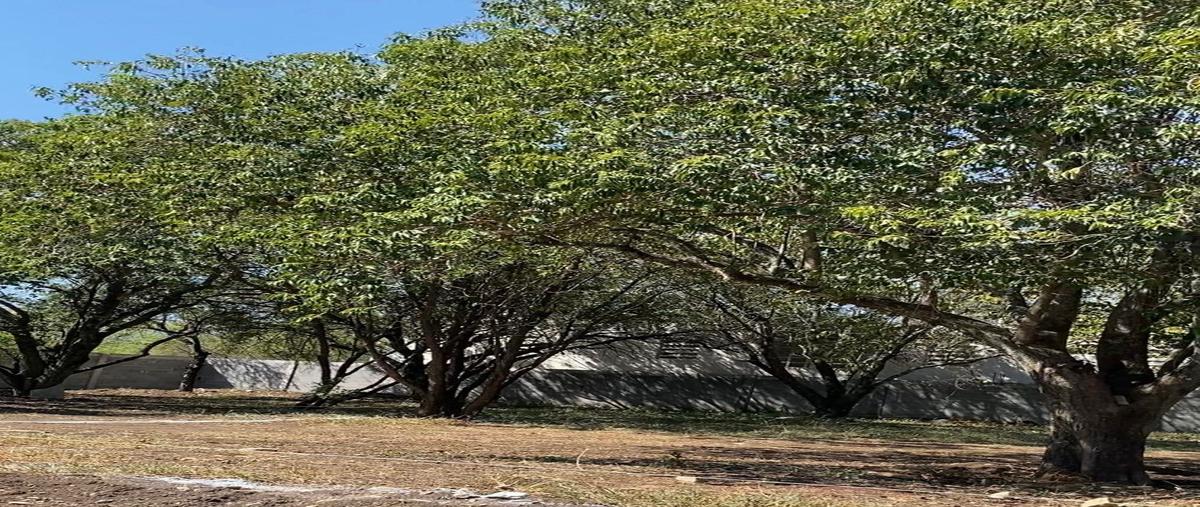 Foto de terreno habitacional en , huajuquito o los cavazos, santiago, nuevo león, 27017425 foto 03 Foto de terreno habitacional en venta en , huajuquito o los cavazos, santiago, nuevo león, 27017425 No. 03
