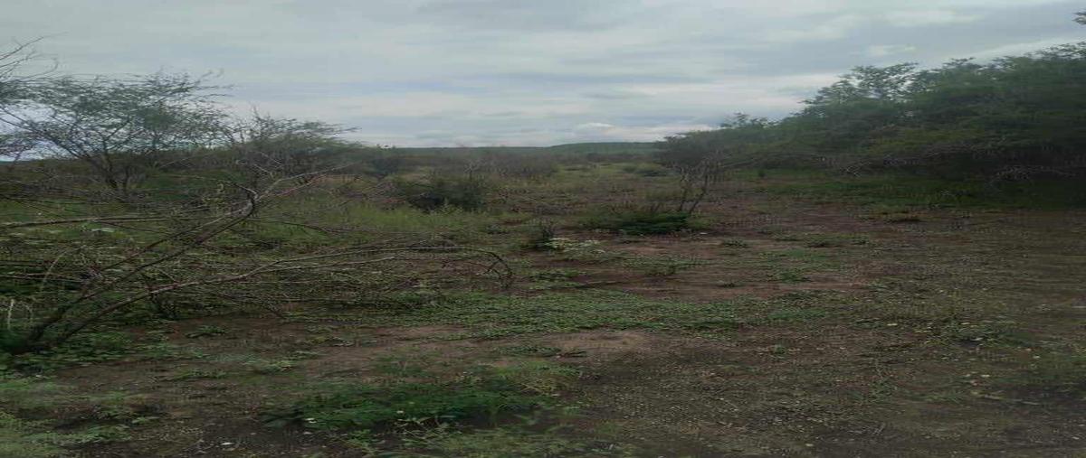 Foto de terreno habitacional en , hualahuises centro, hualahuises, nuevo león, 0 foto 05 Foto de terreno habitacional en venta en , hualahuises centro, hualahuises, nuevo león, 0 No. 05