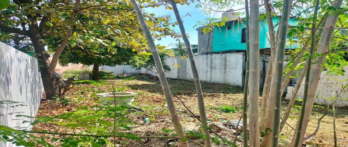 Foto de terreno habitacional en renta en huano , 23 de julio, carmen, campeche, 29279512 No. 04