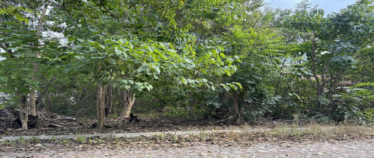 Foto de terreno habitacional en venta en huapinole , la laguna, santa maría del oro, nayarit, 29101563 No. 04