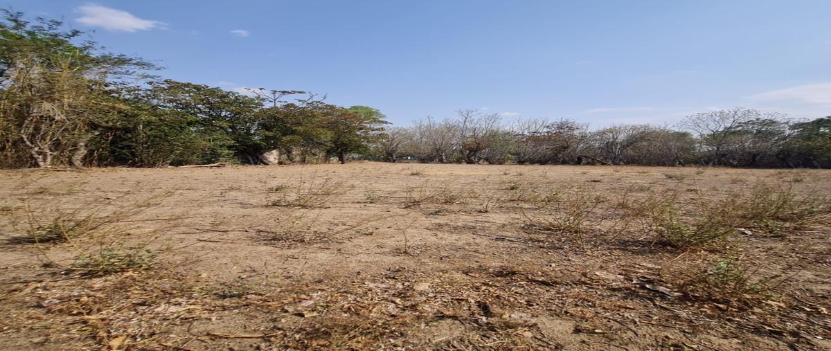 Foto de terreno habitacional en venta en  , huaquechula, huaquechula, puebla, 0 No. 04