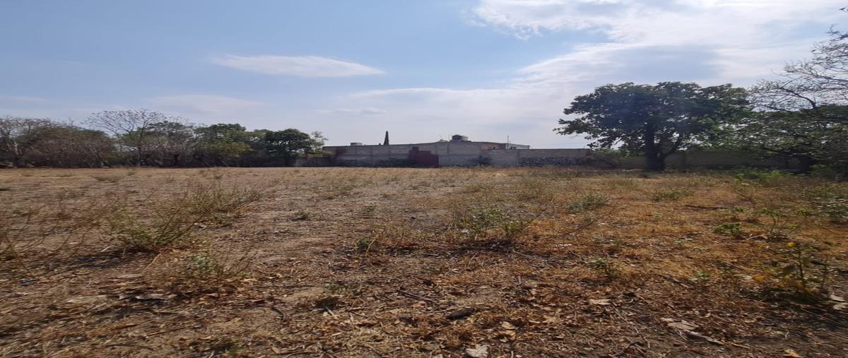 Foto de terreno habitacional en venta en  , huaquechula, huaquechula, puebla, 0 No. 05