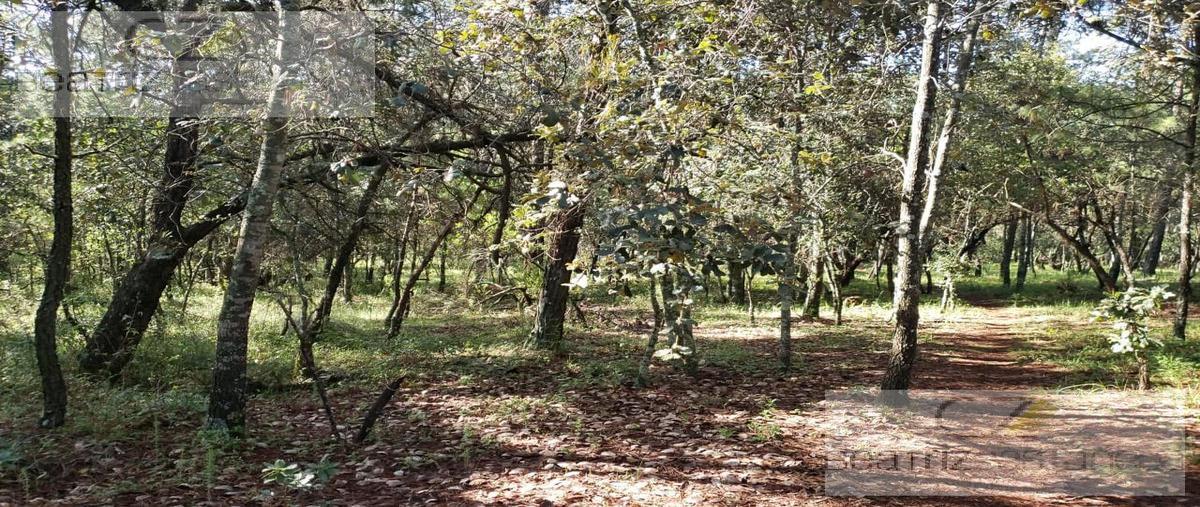 Foto de terreno habitacional en venta en  , huasca de ocampo centro, huasca de ocampo, hidalgo, 15856397 No. 02