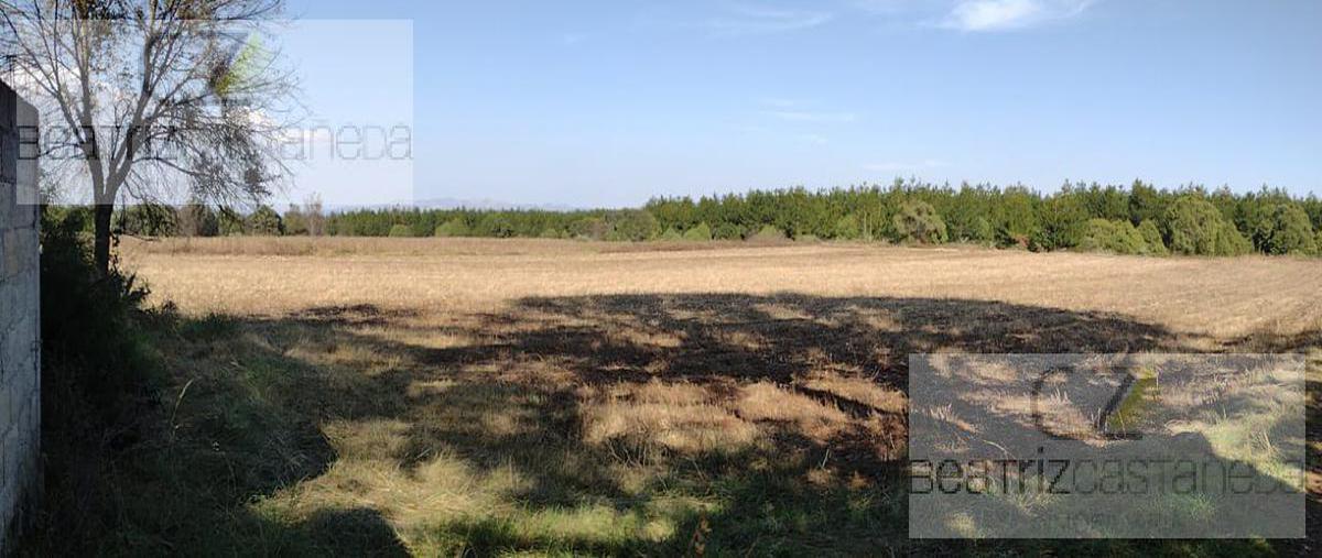 Foto de terreno habitacional en venta en  , huasca de ocampo centro, huasca de ocampo, hidalgo, 23259806 No. 03
