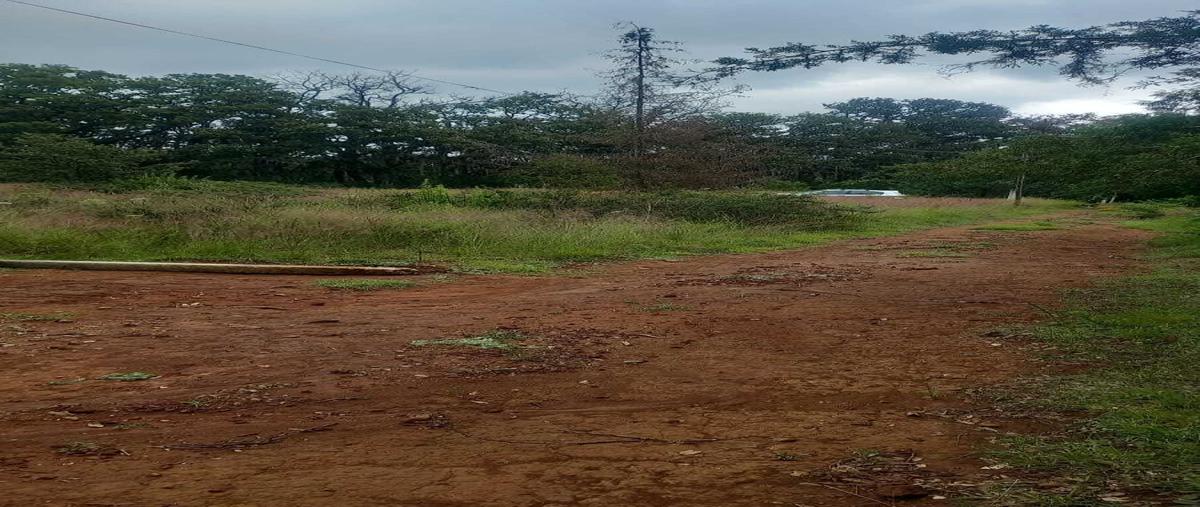 Foto de terreno habitacional en venta en  , huasca de ocampo centro, huasca de ocampo, hidalgo, 0 No. 04