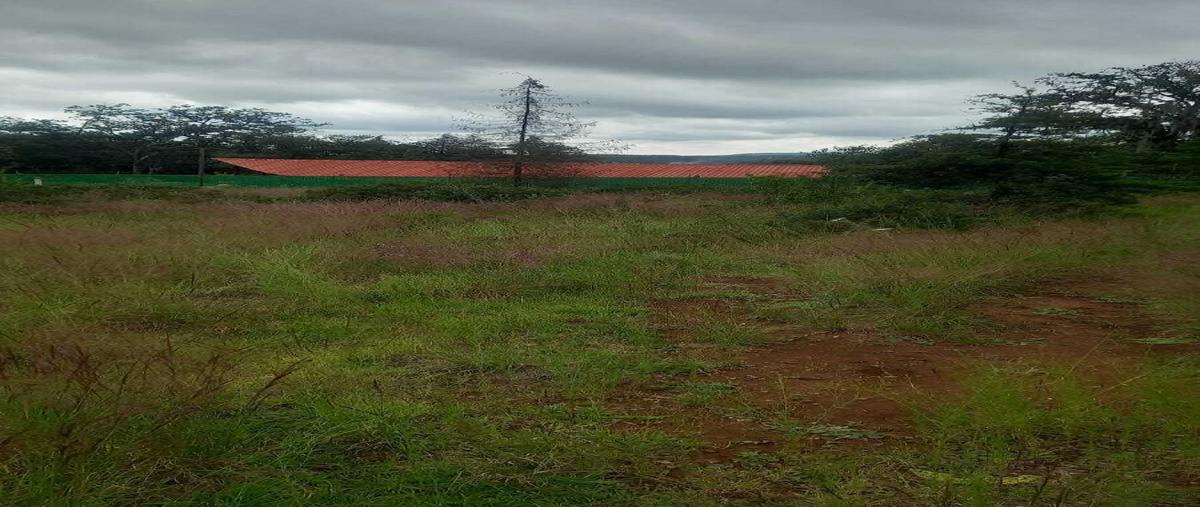 Foto de terreno habitacional en venta en  , huasca de ocampo centro, huasca de ocampo, hidalgo, 0 No. 05
