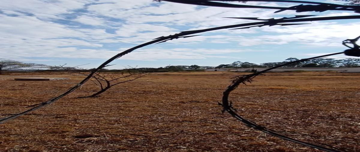 Foto de terreno habitacional en renta en  , huasca de ocampo centro, huasca de ocampo, hidalgo, 0 No. 05