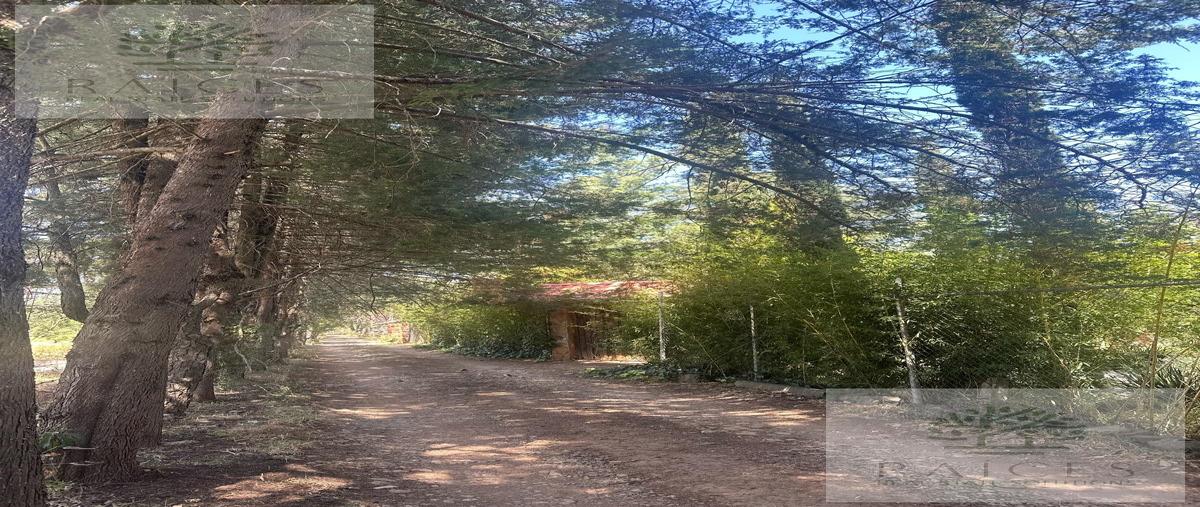 Foto de terreno habitacional en venta en  , huasca de ocampo centro, huasca de ocampo, hidalgo, 30885427 No. 03