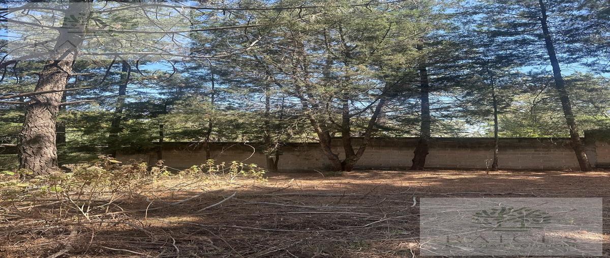 Foto de terreno habitacional en venta en  , huasca de ocampo centro, huasca de ocampo, hidalgo, 30885427 No. 04