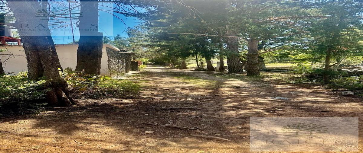 Foto de terreno habitacional en venta en  , huasca de ocampo centro, huasca de ocampo, hidalgo, 30885427 No. 05