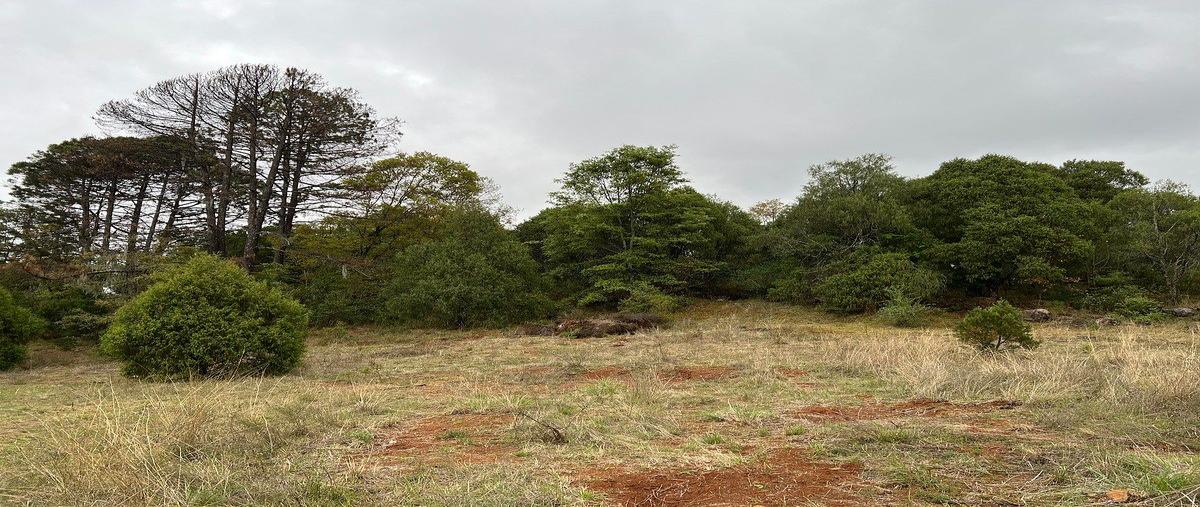 Foto de terreno habitacional en venta en  , huasca de ocampo centro, huasca de ocampo, hidalgo, 31093467 No. 03
