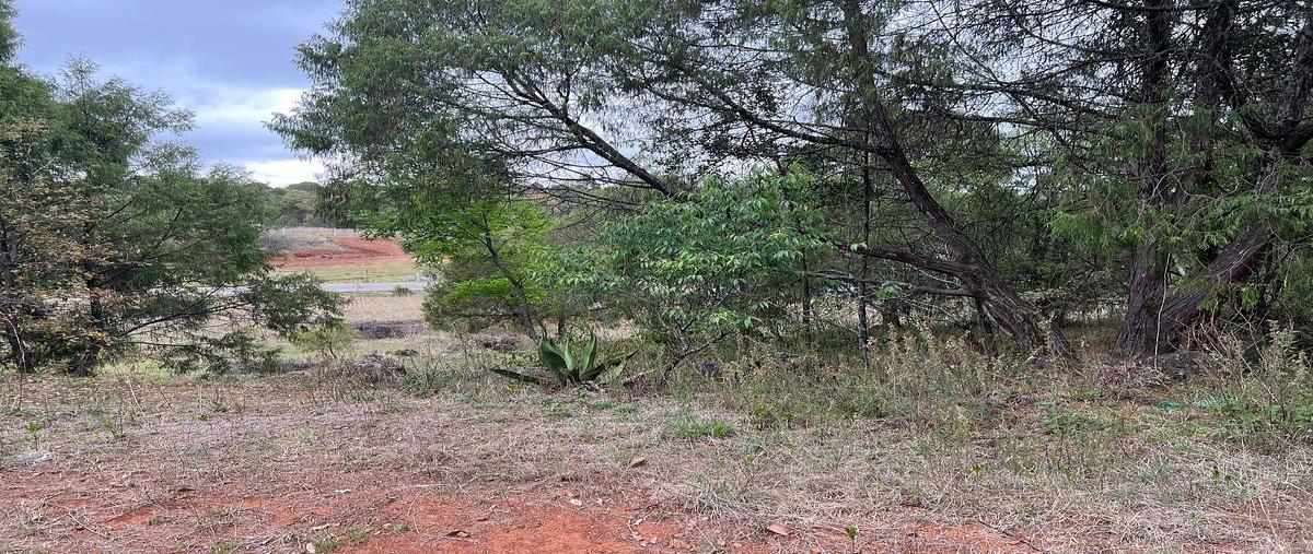 Foto de terreno habitacional en venta en  , huasca de ocampo centro, huasca de ocampo, hidalgo, 0 No. 04