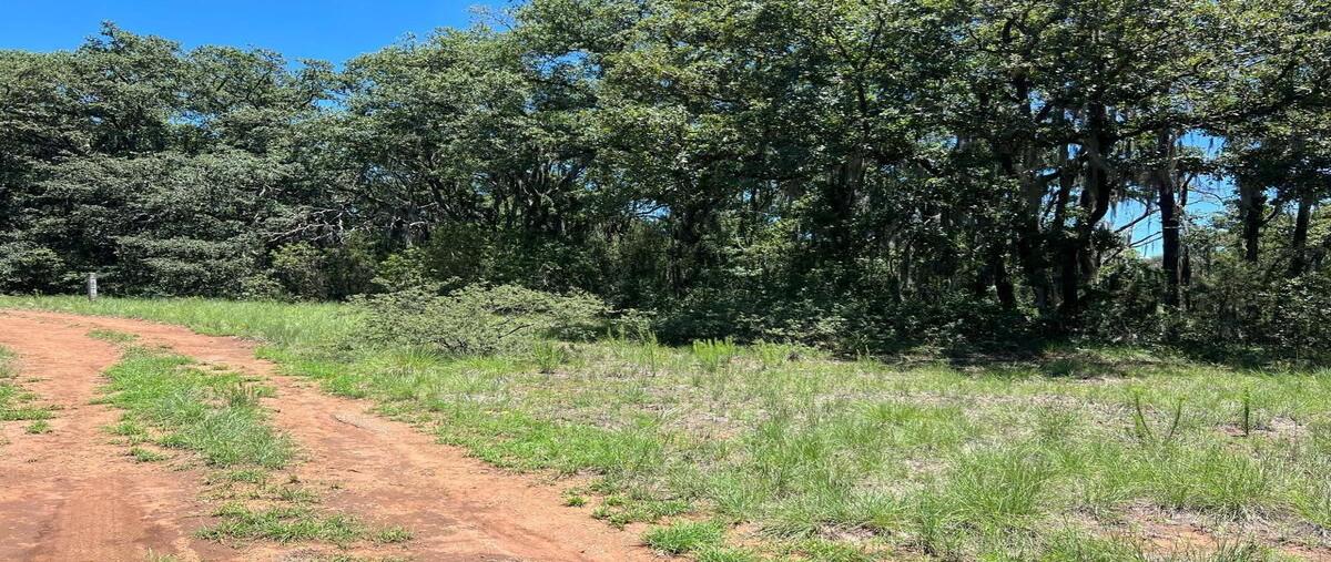 Foto de terreno habitacional en venta en huasca , río seco puente de doria, huasca de ocampo, hidalgo, 0 No. 04