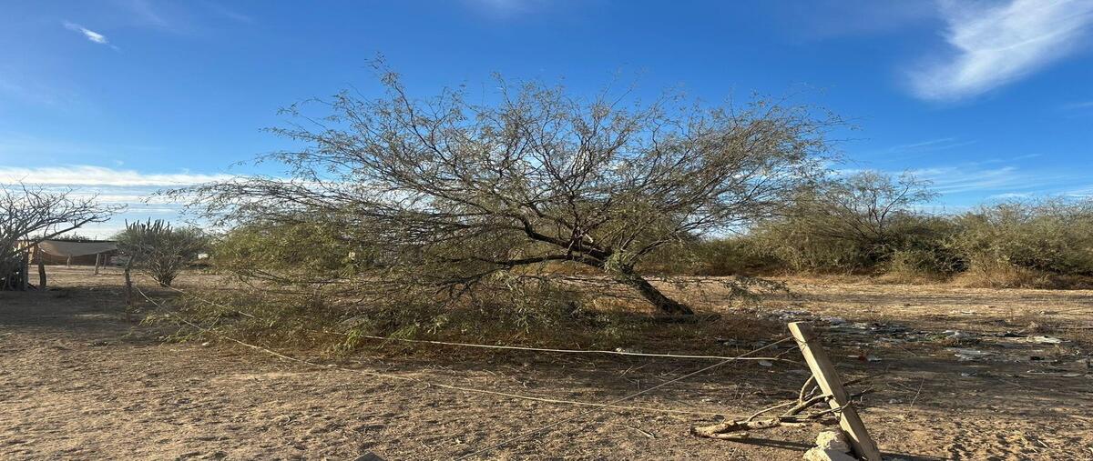 Foto de terreno habitacional en venta en huatamoto , la pitahaya, la paz, baja california sur, 29279188 No. 05