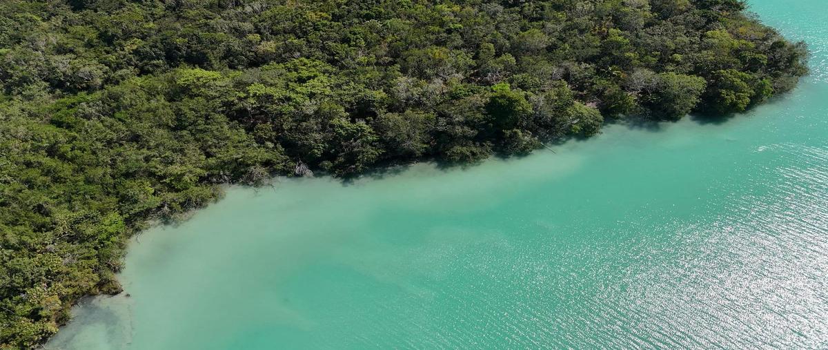 Foto de terreno habitacional en venta en  , huaypix, othón p. blanco, quintana roo, 30229663 No. 03