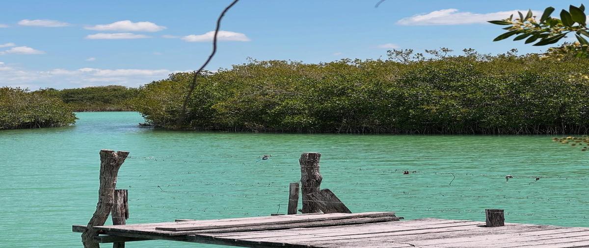 Foto de terreno habitacional en venta en  , huaypix, othón p. blanco, quintana roo, 30229663 No. 05