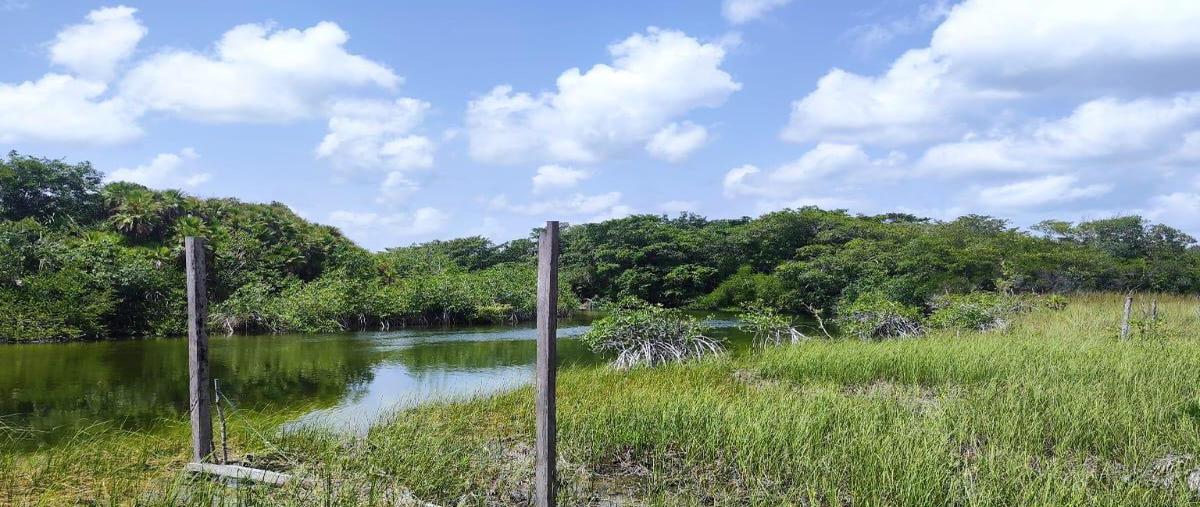 Foto de terreno habitacional en venta en  , huaypix, othón p. blanco, quintana roo, 30889694 No. 04