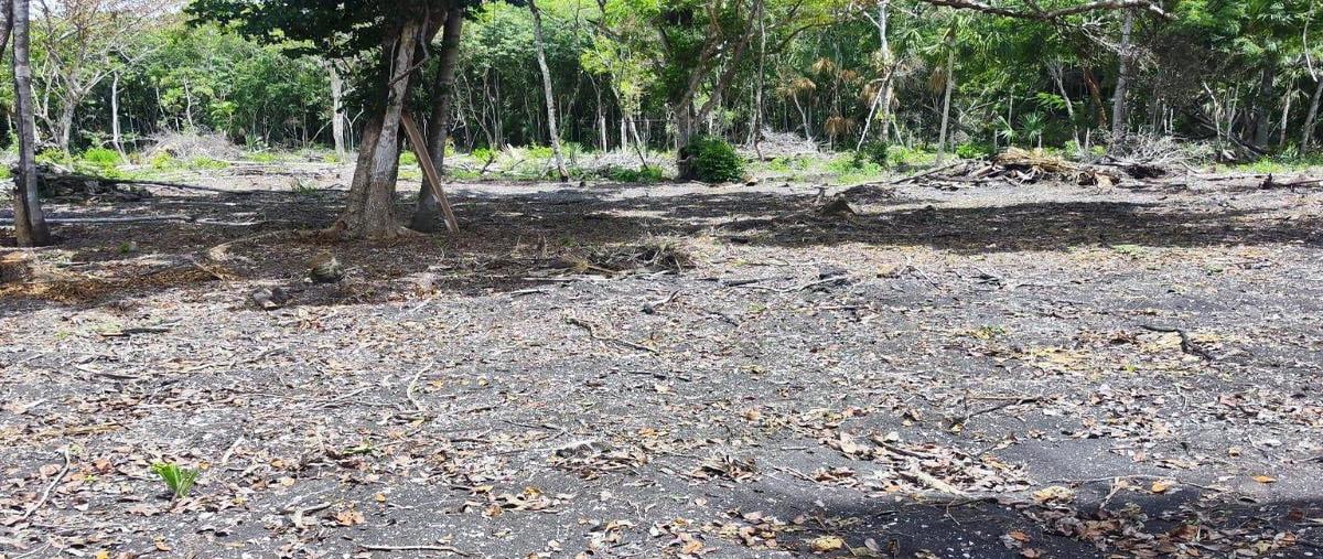 Foto de terreno habitacional en venta en  , huaypix, othón p. blanco, quintana roo, 30889694 No. 05
