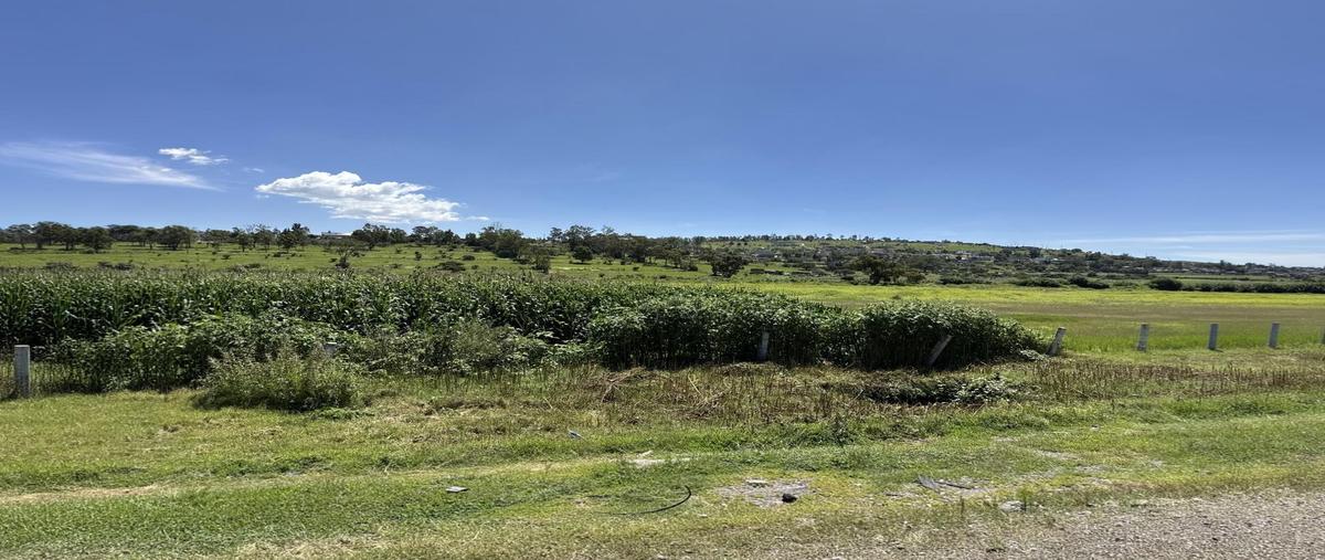 Foto de terreno habitacional en renta en  , huehuetoca, huehuetoca, méxico, 31072153 No. 04