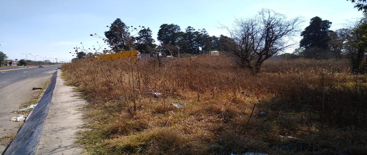 Foto de terreno habitacional en venta en  , huejotzingo centro, huejotzingo, puebla, 24765329 No. 04