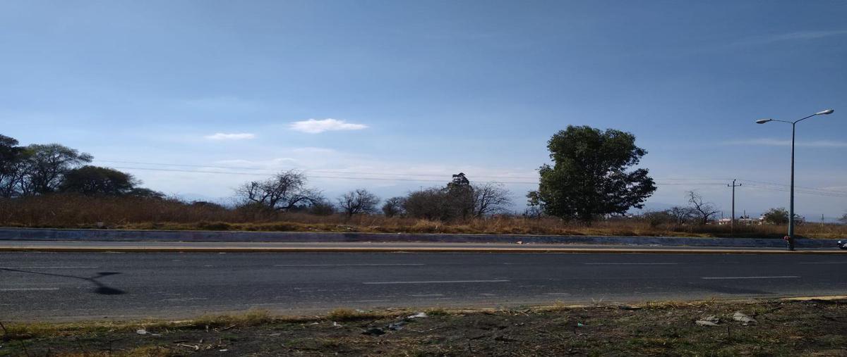 Foto de terreno habitacional en venta en  , huejotzingo centro, huejotzingo, puebla, 24765329 No. 05
