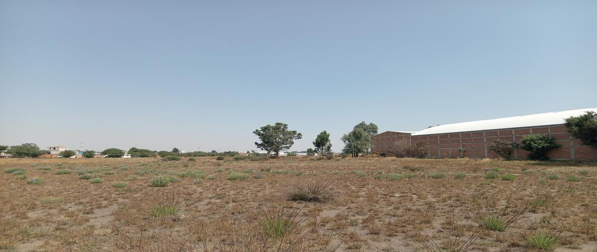 Foto de terreno habitacional en venta en  , huejotzingo centro, huejotzingo, puebla, 28045603 No. 03