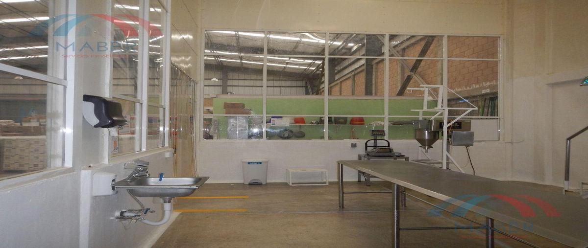 Foto de nave industrial en renta en  , huejotzingo centro, huejotzingo, puebla, 0 No. 04