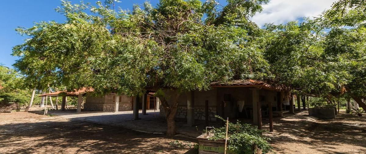 Foto de rancho en venta en huerta la rivera , la rivera, los cabos, baja california sur, 31510491 No. 03
