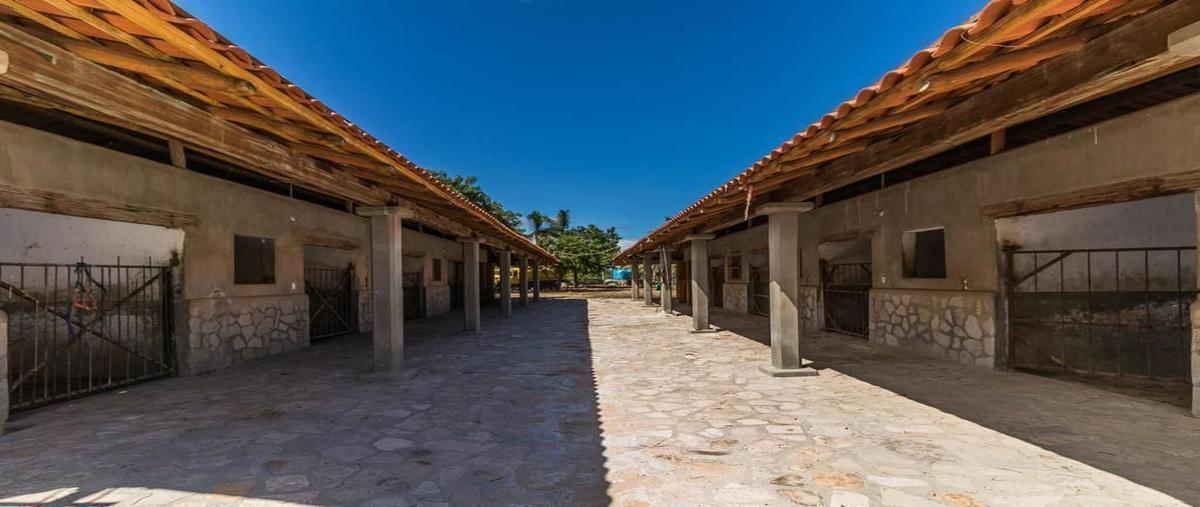Foto de rancho en venta en huerta la rivera , la rivera, los cabos, baja california sur, 31510491 No. 04