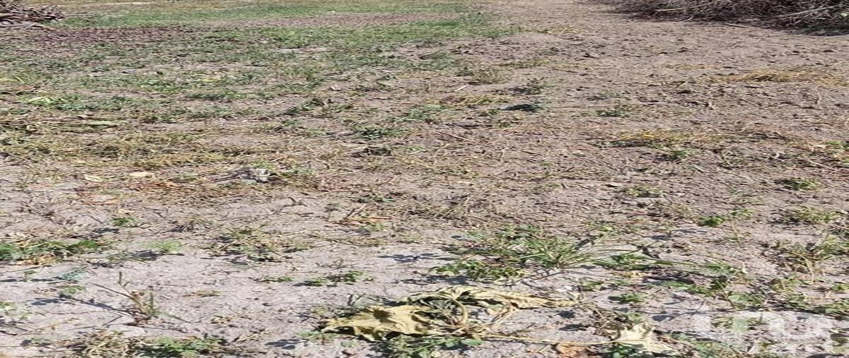 Foto de terreno comercial en venta en huerta vieja 324, ixtlahuacan de los membrillos, ixtlahuacán de los membrillos, jalisco, 28725220 No. 03