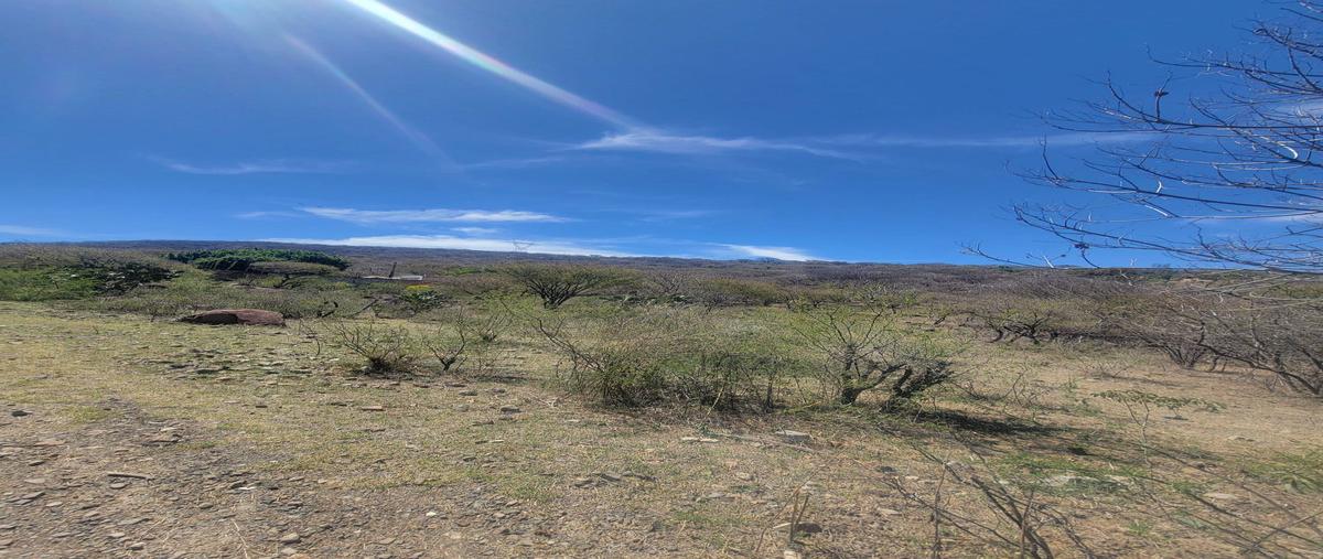 Foto de terreno habitacional en venta en huerta vieja i kilometro 25 , el zapote del valle, tlajomulco de zúñiga, jalisco, 28175275 No. 03