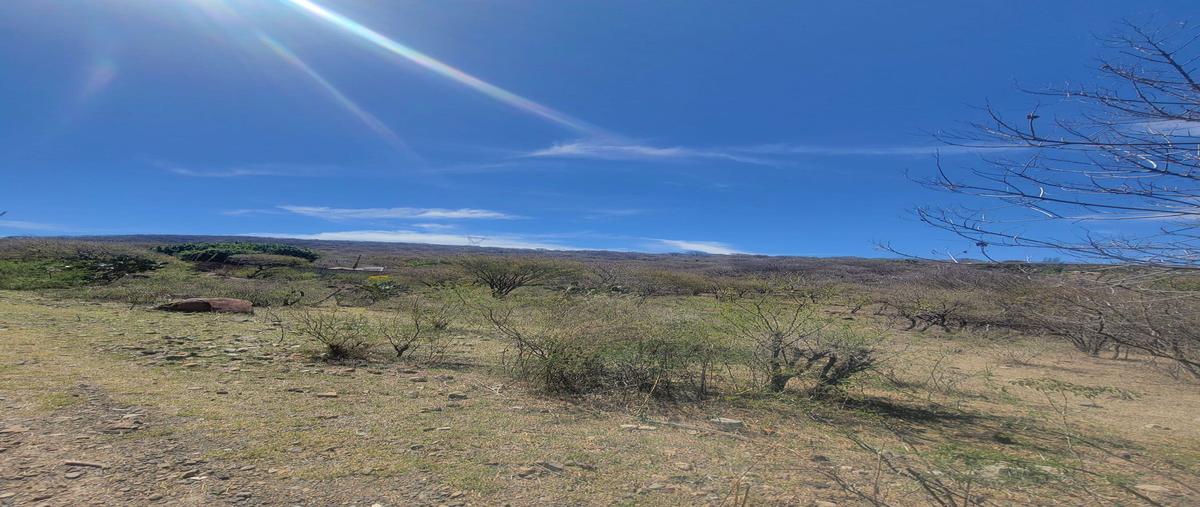 Foto de terreno habitacional en venta en huerta vieja i kilometro 25 , el zapote del valle, tlajomulco de zúñiga, jalisco, 28175275 No. 04