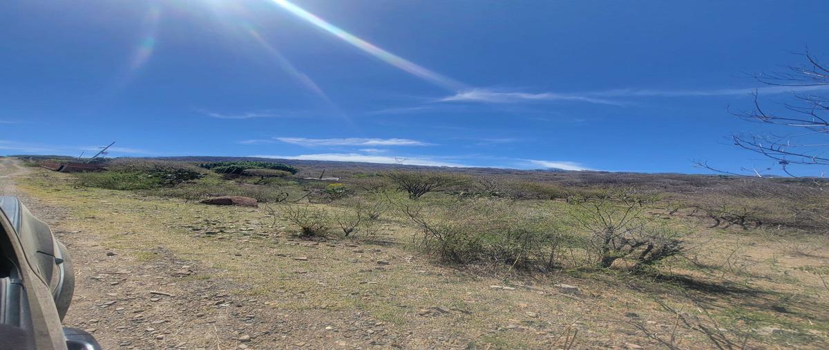 Foto de terreno habitacional en venta en huerta vieja i kilometro 25 , el zapote del valle, tlajomulco de zúñiga, jalisco, 28175275 No. 05