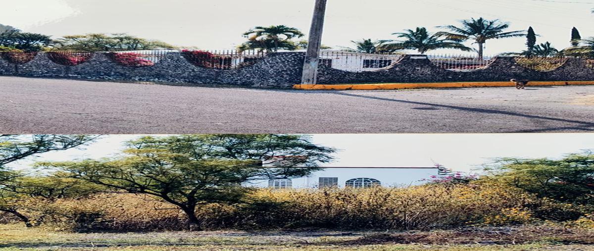 Foto de terreno habitacional en venta en huertas cuautla , tlayecac, ayala, morelos, 21072837 No. 03