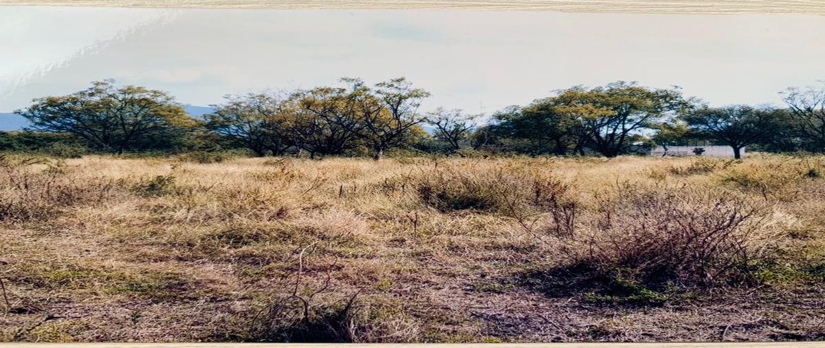 Foto de terreno habitacional en venta en huertas cuautla , tlayecac, ayala, morelos, 21072837 No. 05