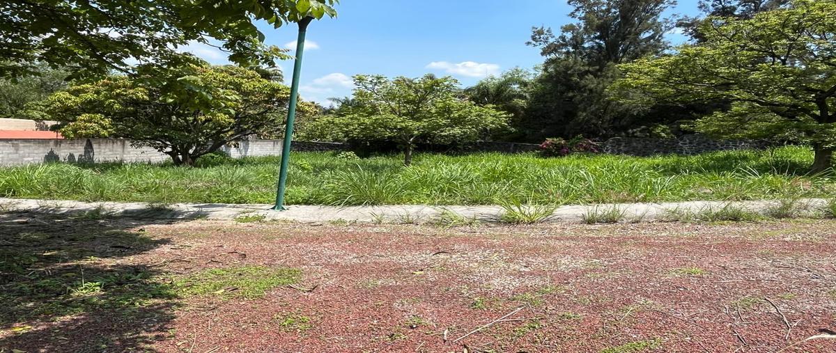 Foto de terreno habitacional en venta en  , huertas del llano, jiutepec, morelos, 0 No. 03