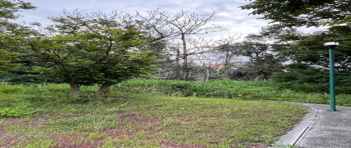 Foto de terreno habitacional en venta en  , huertas del llano, jiutepec, morelos, 0 No. 05