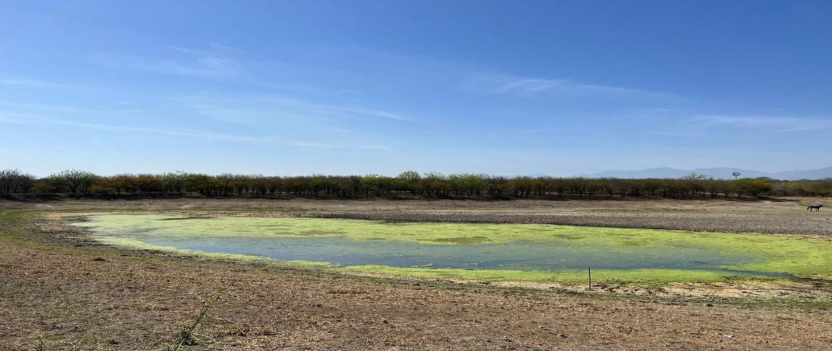 Foto de rancho en venta en  , huertas estación, montemorelos, nuevo león, 0 No. 05