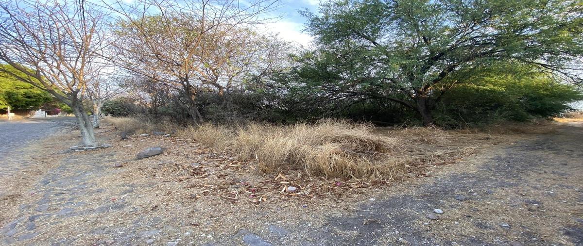 Foto de terreno habitacional en venta en huertas la joya , campestre huertas la joya, querétaro, querétaro, 0 No. 05