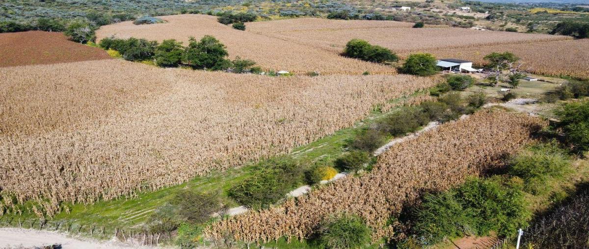 Foto de terreno habitacional en venta en  , huertos de miacatlan, miacatlán, morelos, 0 No. 04
