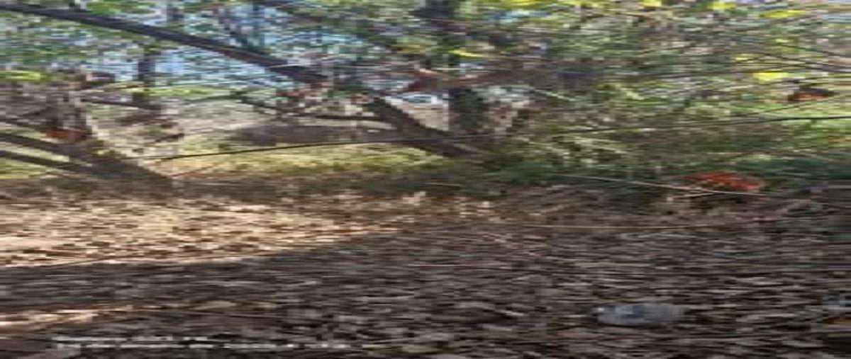 Foto de casa en venta en  , huetamo de núñez centro, huetamo, michoacán de ocampo, 0 No. 03