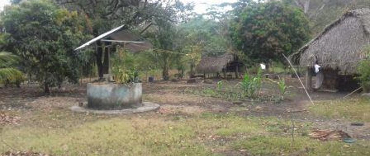 Foto de casa en , hueyapan de ocampo, hueyapan de ocampo, veracruz de ignacio de la llave, 11262174 foto 01 Foto de casa en venta en , hueyapan de ocampo, hueyapan de ocampo, veracruz de ignacio de la llave, 11262174 No. 01