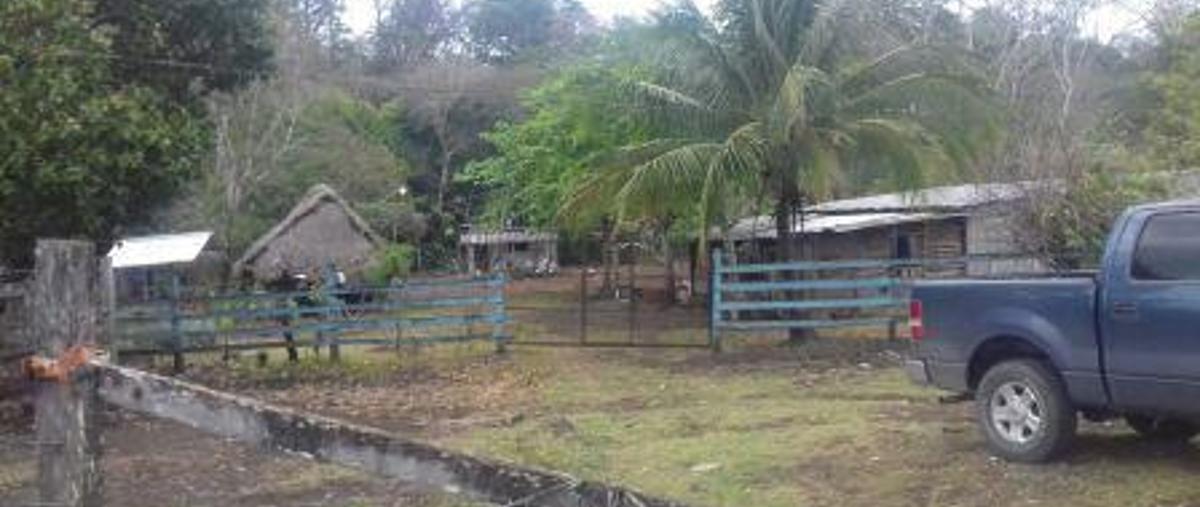 Foto de casa en , hueyapan de ocampo, hueyapan de ocampo, veracruz de ignacio de la llave, 11262174 foto 03 Foto de casa en venta en , hueyapan de ocampo, hueyapan de ocampo, veracruz de ignacio de la llave, 11262174 No. 03