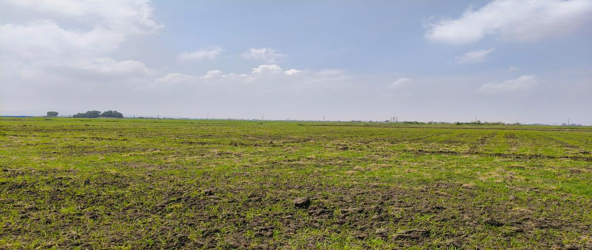 Foto de terreno habitacional en venta en  , hueyotenco, tecámac, méxico, 30119478 No. 03