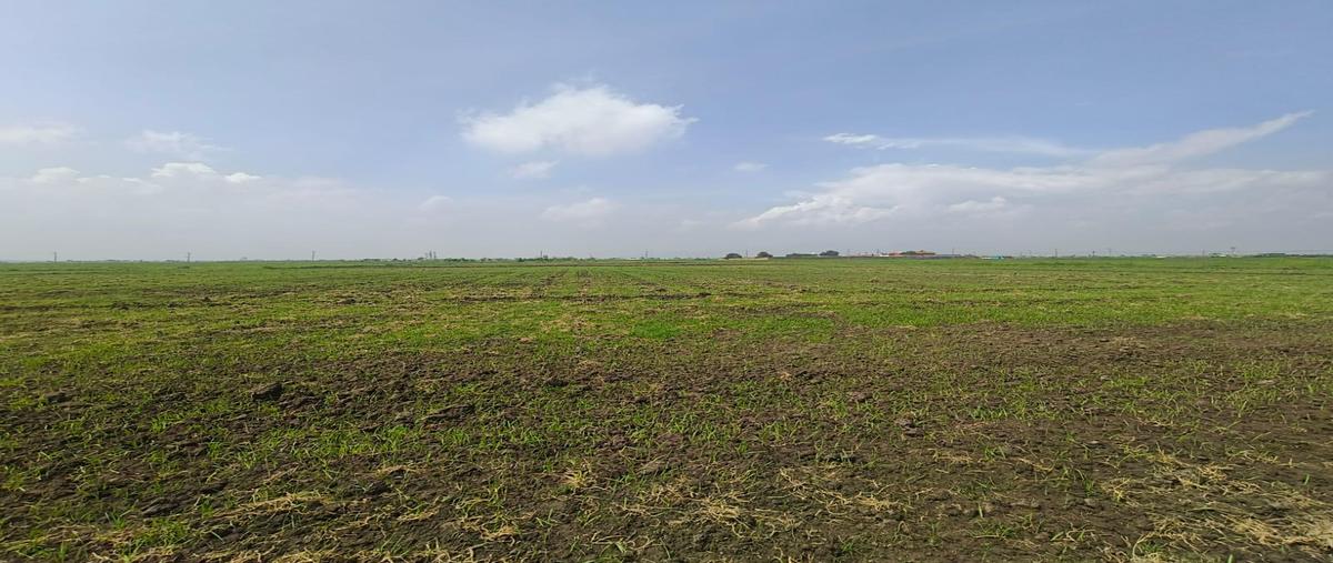 Foto de terreno habitacional en venta en  , hueyotenco, tecámac, méxico, 30119478 No. 05